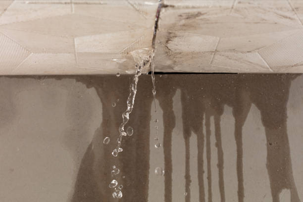 Professional Water Damage Restoration technician working in Rosser, TX